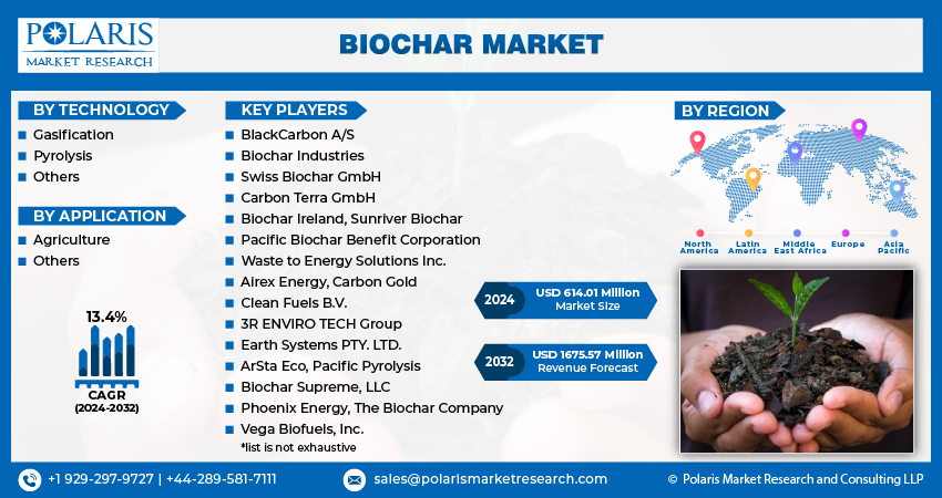 Biochar Market Info